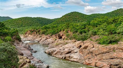 Cauvery Wildlife Sanctuary And The Controversial Mekedatu Project ...