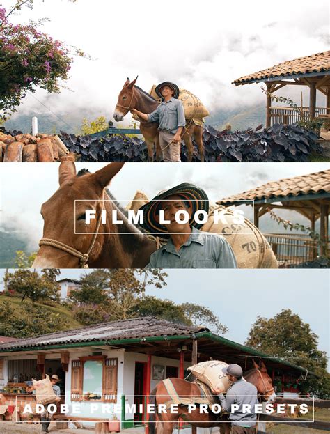 Color Pack for BMPCC 4k and 6k for Premiere Pro Presets - FilterGrade