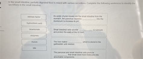 Image result for Partially Digested Food