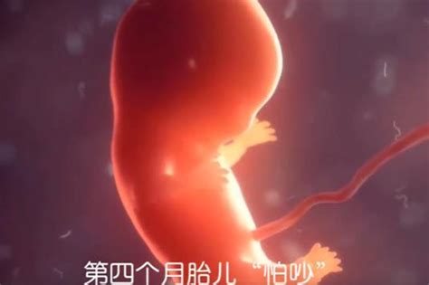 十月怀胎，每月各有一条“高压线”，孕妈碰一条，胎宝被伤害一次_胎儿