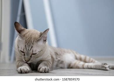 Image result for Visual Basic ByRef Example