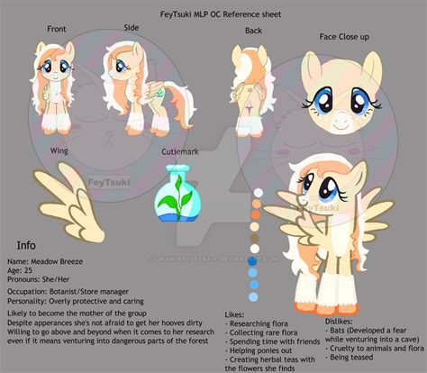 MLP OC Reference Sheet by OrangeFluffBall on DeviantArt