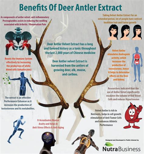 The Benefits of Deer Antler Velvet | ProBLEN – proBLENopathy