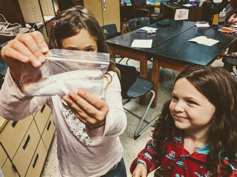 Mummy Making Process 的图像结果