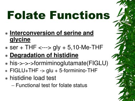 Image result for Folate Water-Soluble