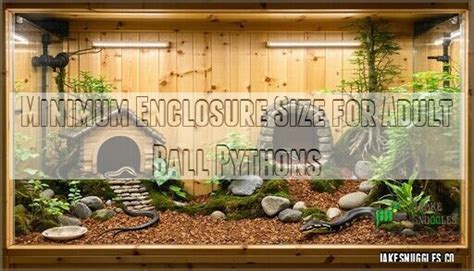 Image result for 15 Foot Python Enclosure