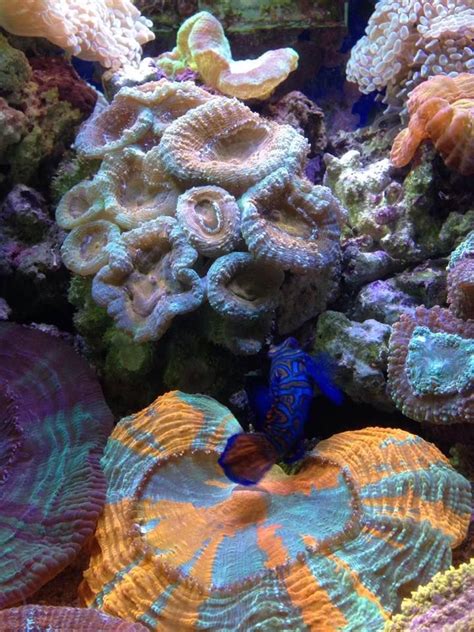 Dominant men seeking submissive women, 430 Cardinal Ln A, Green Bay, WI ...