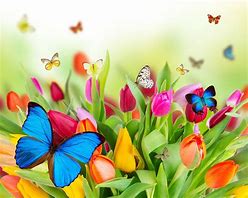 Image result for Happy Easter Butterfly
