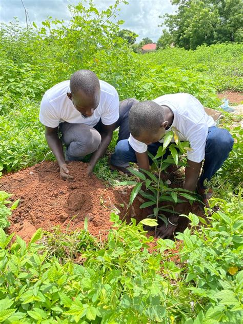Image result for Tree-Planting Exercise