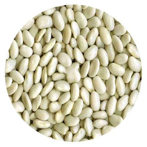 Buy IAG Foods Dried Great Northern Beans - 1 kg, Best Price & Reviews ...