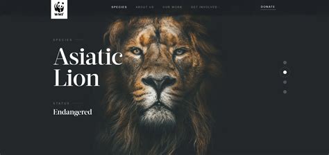 Image result for Reptile HTML CSS JavaScript Code