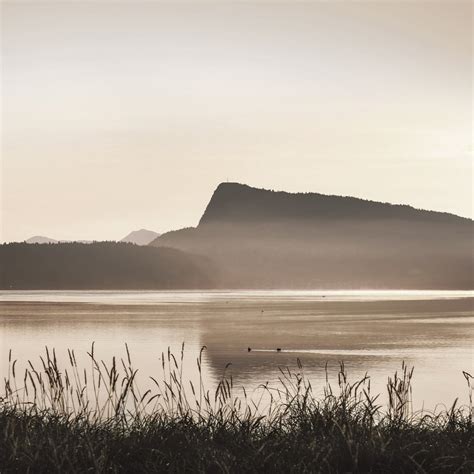 All Jaeger-LeCoultre Luxury Watch Collections | Jaeger-LeCoultre