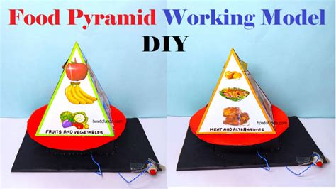 Food Pyramid Project Work 的图像结果