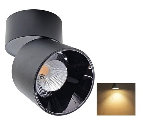 Mufasa 18 Watts Reflector Adjustable LED Concealed Ceiling Light ...
