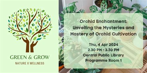 Orchid Enchantment: Unveiling the Mysteries and Mastery of Cultivation ...