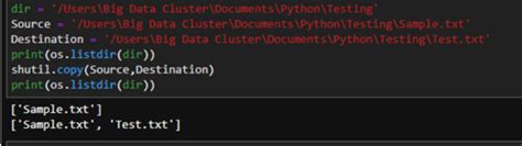 Python Copy Paste Files 的图像结果