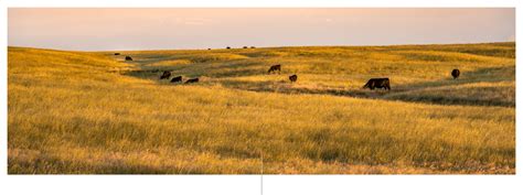 Image result for Prairie Point Pinwheel Quilt Blocks Tutorial