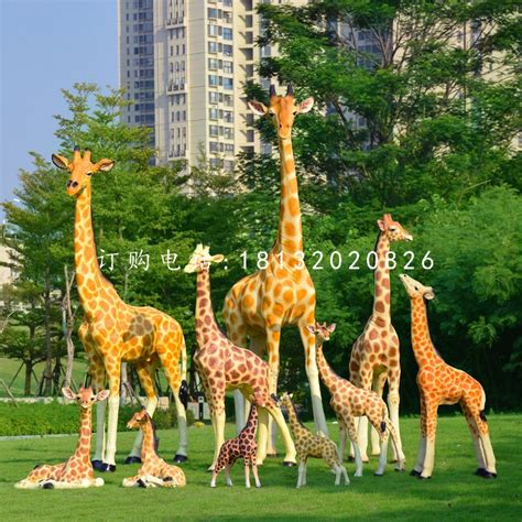 玻璃钢仿真长颈鹿，动物雕塑 - 河北卓景雕塑公司