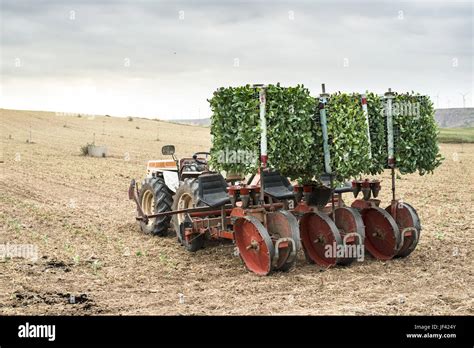 Image result for Planting Machine