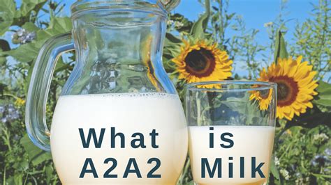 What is A2A2 Milk - Peaceful Heart Farm - Virginia Herd Shares