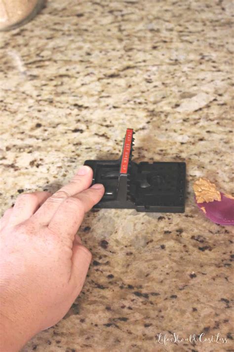 Jawz Mouse Traps Product Review - Life Should Cost Less