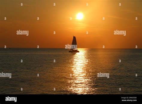 Sea Boat 的图像结果