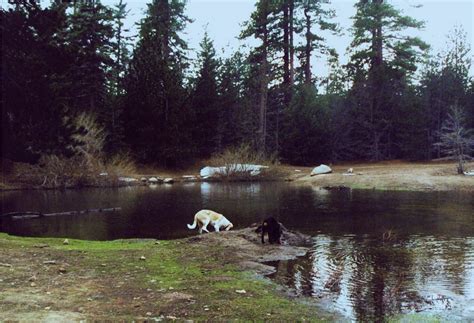 19 Best Delightful Destinations for Camping in Southern California ...