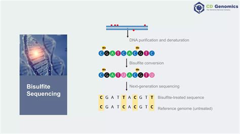 Epigenetic Modifications 的图像结果