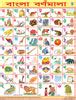 BENGALI ALPHABET CHART SIZE 45 X 57 CMS