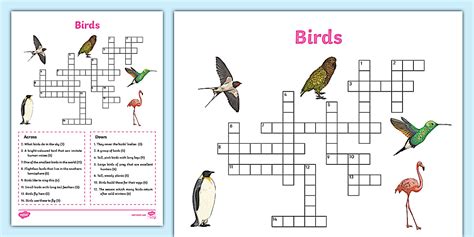 Bird Crossword Puzzle (teacher made) - Twinkl