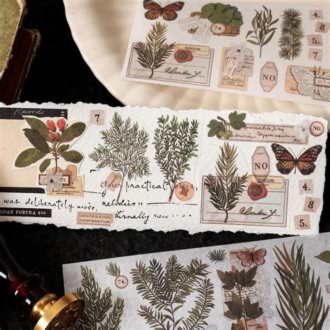 Vintage Nature Sticker Strips Set