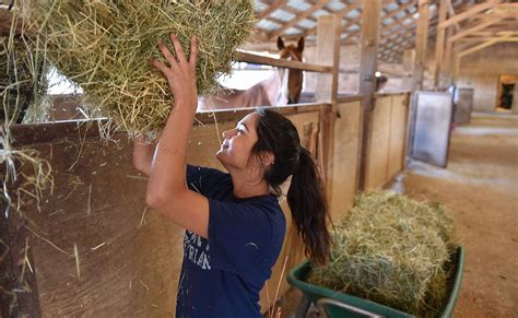 Pre-Vet Programs and Degrees | Berry College