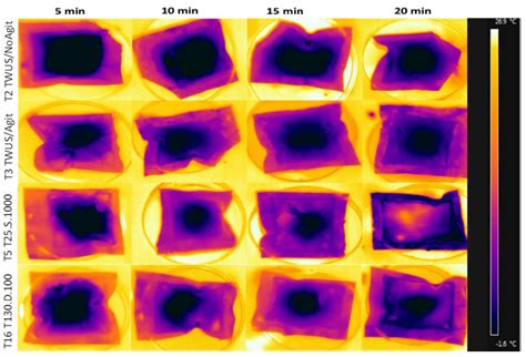 Ultrasound Thawing Optimization as a Novel Strategy to Improve Quality ...