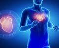 7 Safe Exercises for Heart Failure Patients | Newsmax.com