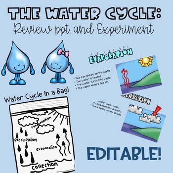 Image result for Water Cycle Science Experiment