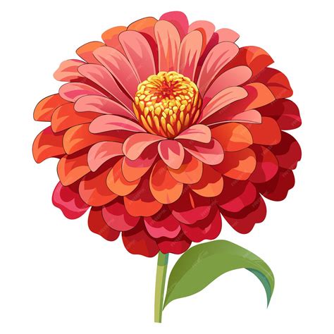 Zinnia Flower clipart vector illustration | Premium AI-generated vector