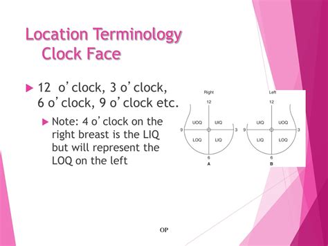 Image result for Shell Method Y-Axis Tutorial