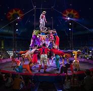 circus 的图像结果