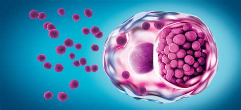 Chlamydia Trachomatis: Importancia del diagnóstico - Instituto de Bioquímica Clínica