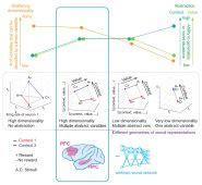Measurement Mathematical Operational Definitions of Abstractions 的图像结果