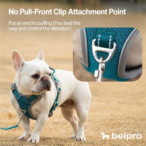 BELPRO Dog Harness No Pull, Front Clip Harness for Small Dogs, Full ...