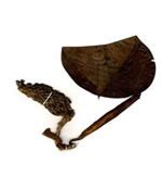 Suresh Trading :: Products