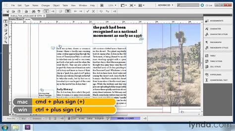 Image result for Adobe InCopy Overview