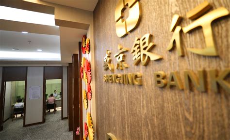 盛京银行迈向高质量发展：营收和拨备前利润同比增长均超30%-今日头条