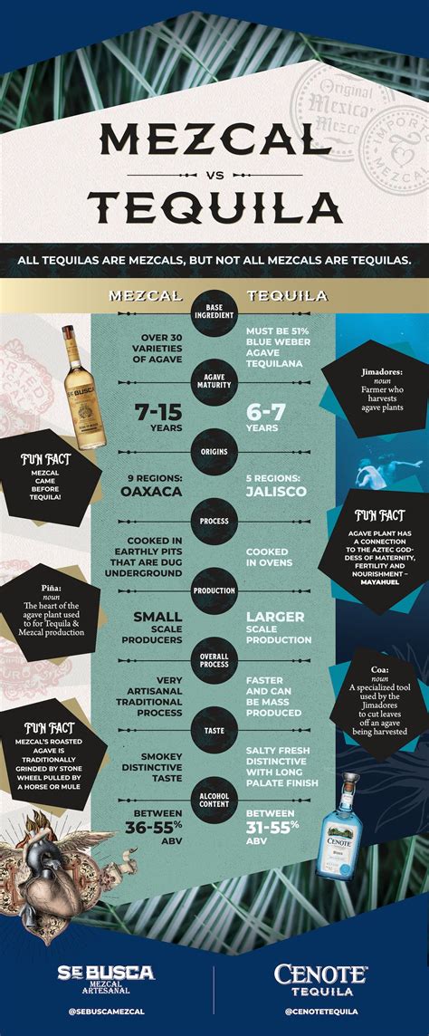 This is the real difference between tequila and mezcal – Artofit