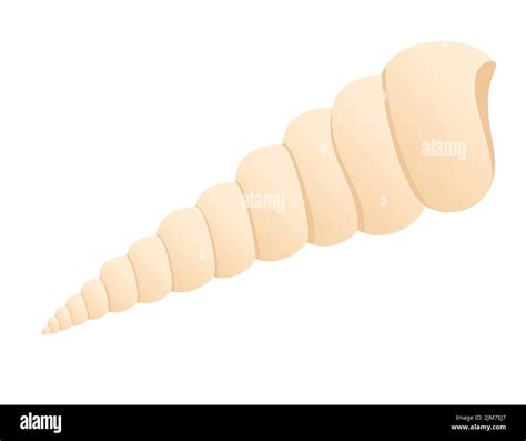 Shell 的图像结果