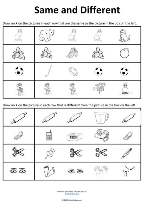 Same Difference Worksheet 的图像结果