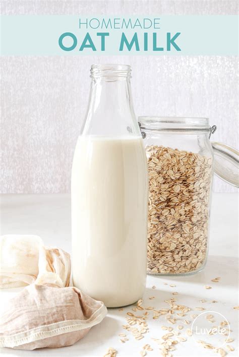 How to make homemade oat milk in minutes - Luvele AU
