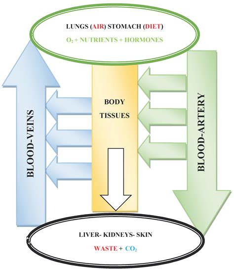 Intentional and Undesirable Effects Related to the Interaction of ...