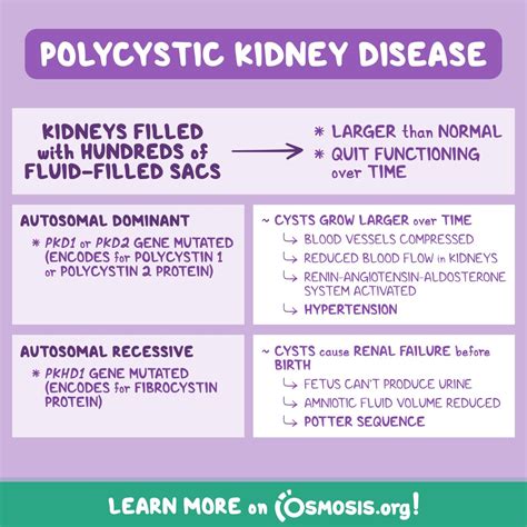 Polycystic Kidney Disease Pathophysiology